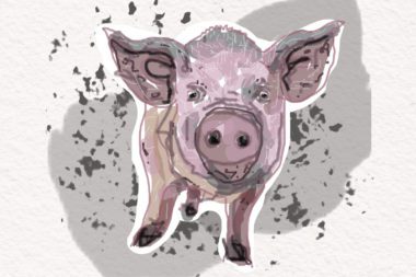 The Picture of Pig