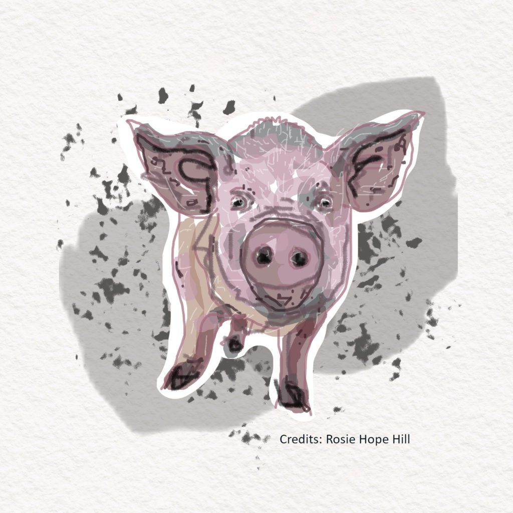 The Picture of Pig