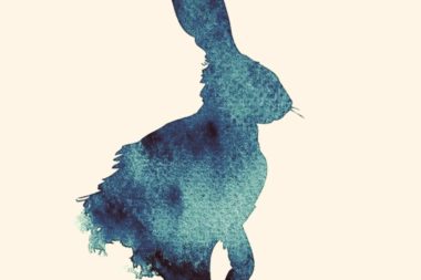 The Picture of Rabbit