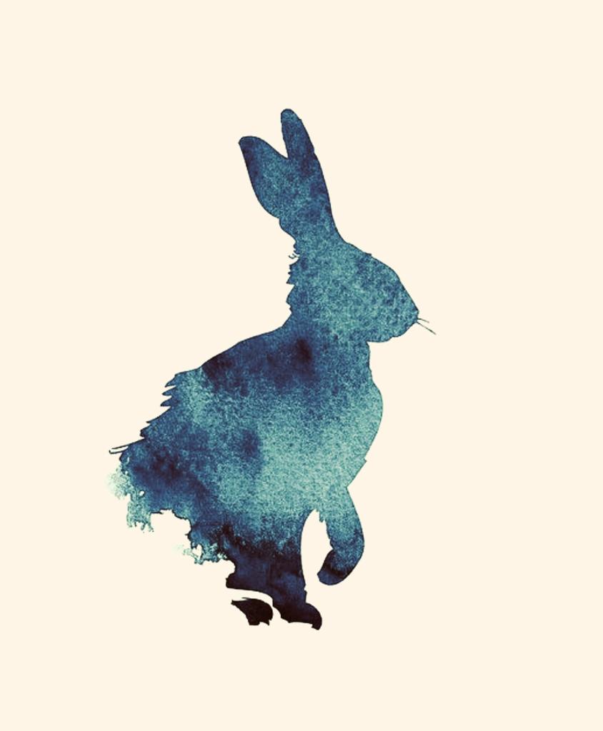 The Picture of Rabbit