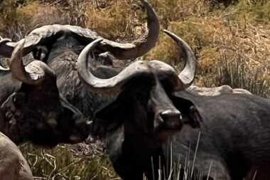 Preparing for a Pivotal Year