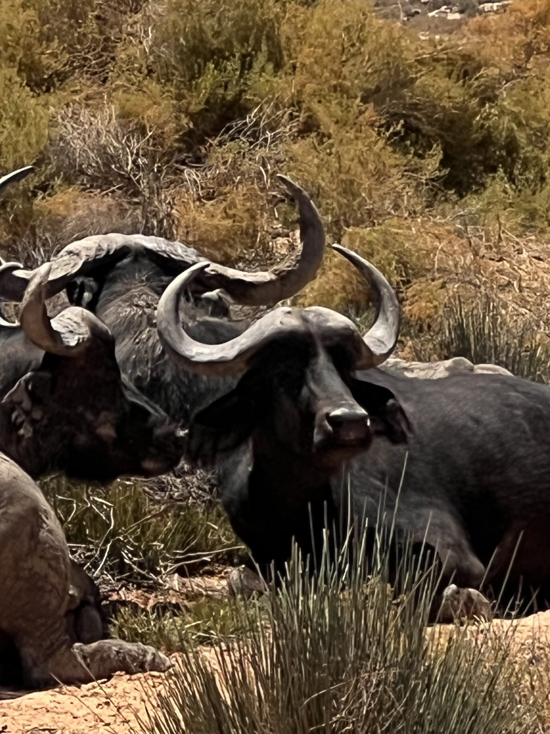 Preparing for a Pivotal Year